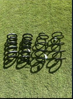Mustang OEM springs