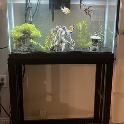 29 Gallon Tank 