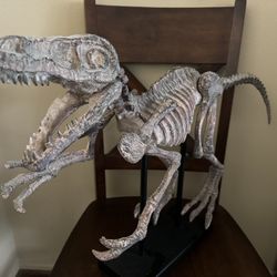 Velociraptor Skeleton