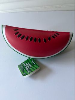 Squishy Watermelon Brand New Hard to Find $18