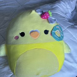 Shayna the yellow chick Squishmallow
