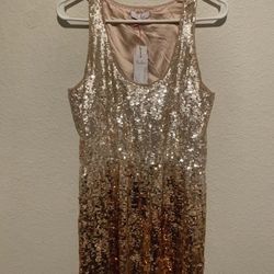 NEW $498 Women’s Medium Parker New York Sequin Sugar Ombré Hand Made Dress