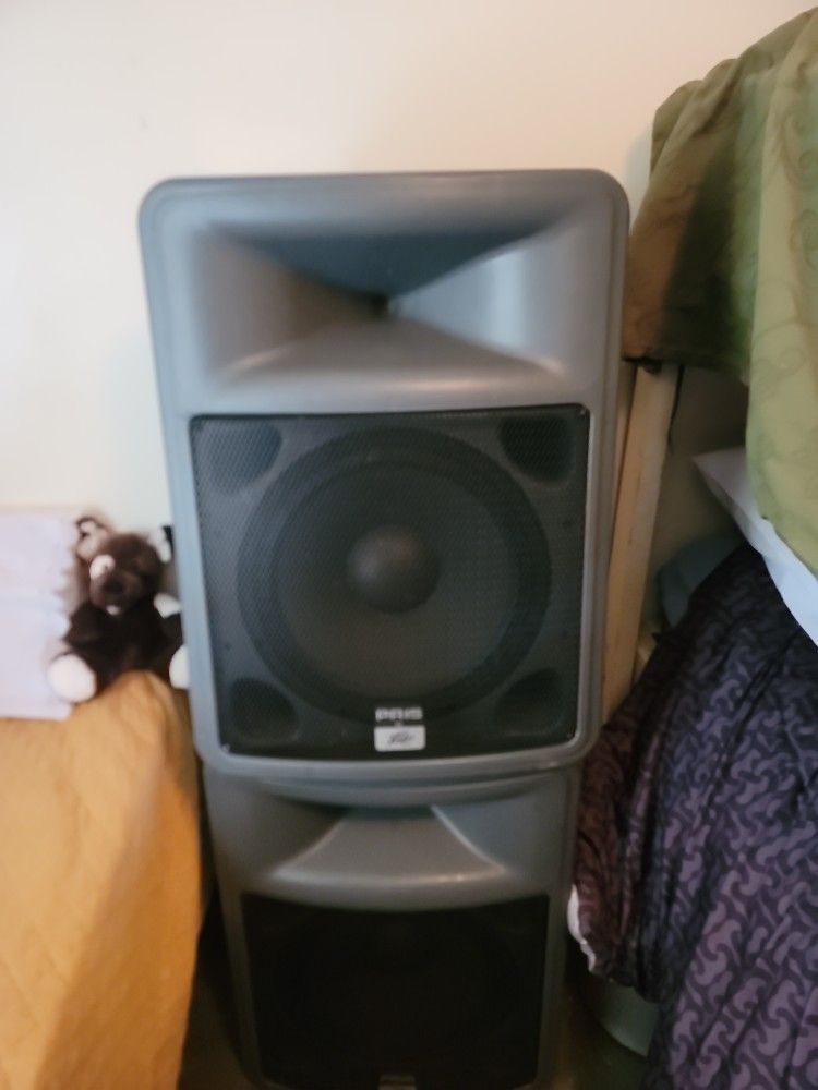Peavey PR15 Speakers