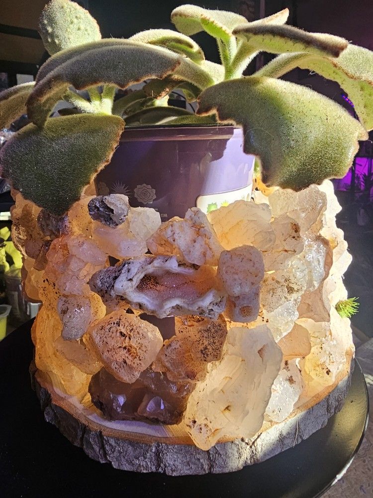 Handmade Plant/candle Holder. 