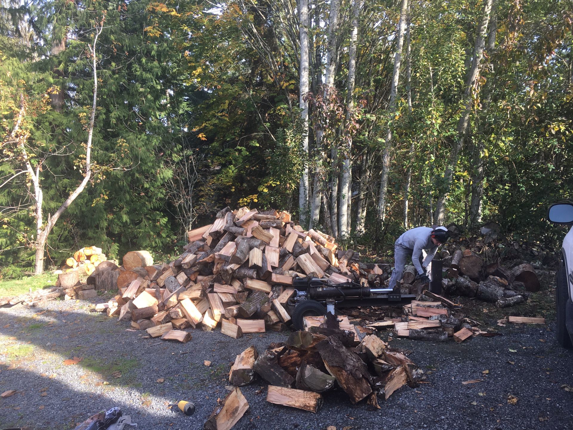 Truck loads of seasoned alder firewood for delivery.