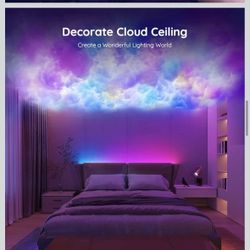 Govee 65.6 feet RGBIC LED Strip PRO