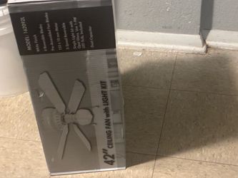 Ceiling fan