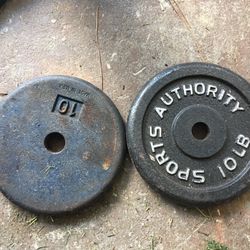Pair Of Mismatch 10 Lb Standard Weight Plates 