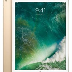 iPad Pro, Inch 12.9, 2 Generation, 256 GB, Wi Fi