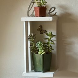 Wall Decor with Succulents