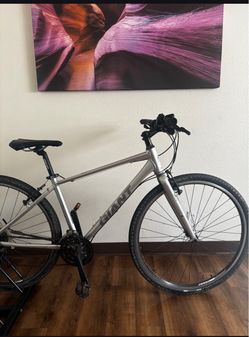 Giant Escape Hybrid bike size Small