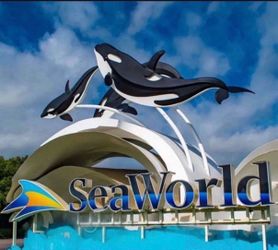SeaWorld tickets adult/children