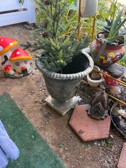 Pots x 2