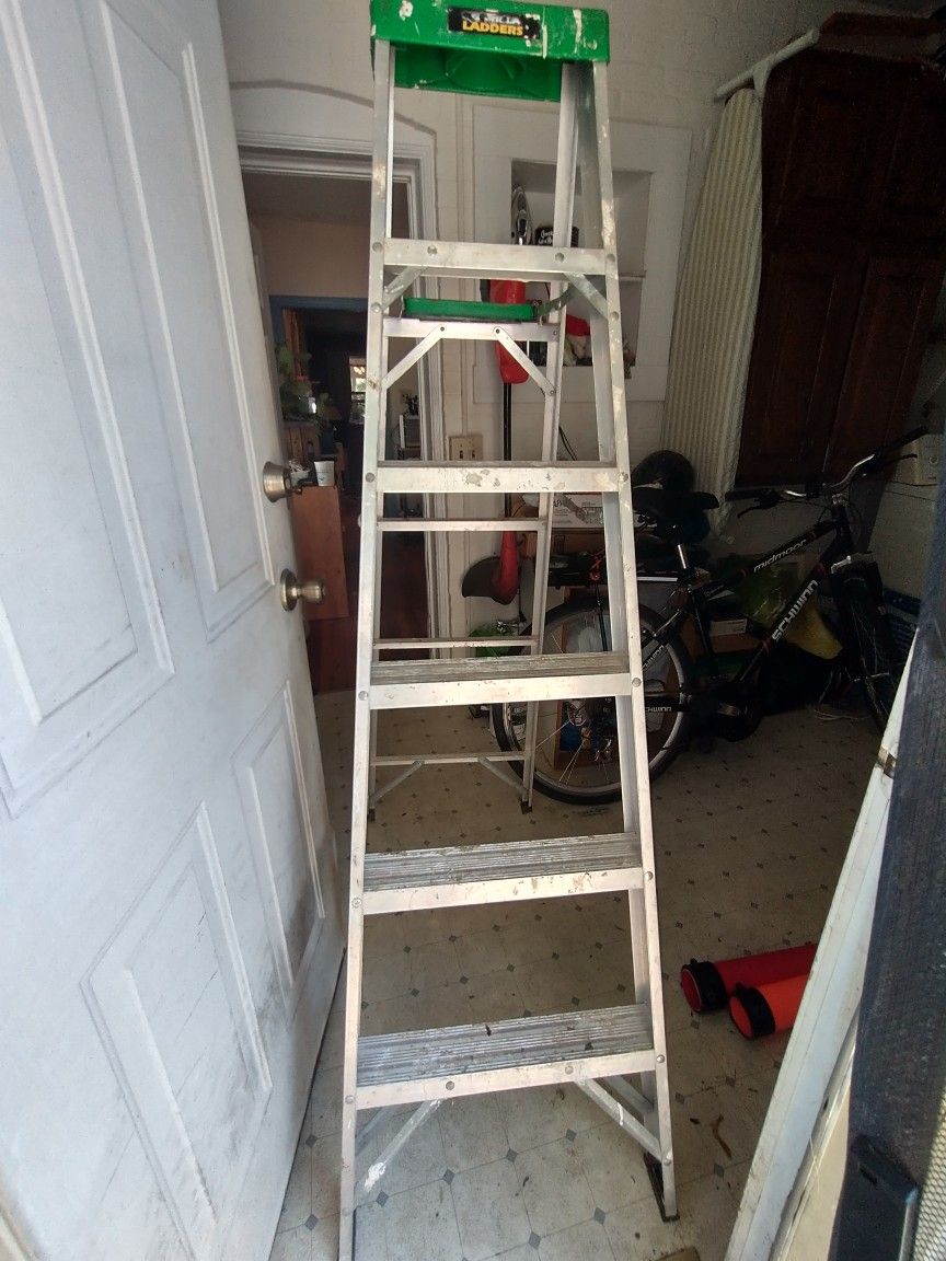 6' Gorilla Ladder