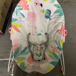Bright Stars baby Seat Or Bouncer
