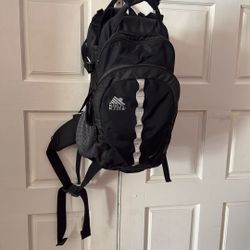 Kelty Kids TC 1.0 Child Carrier Hiking Backpack