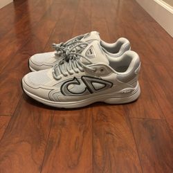 Dior B30 Gray EU45/US11