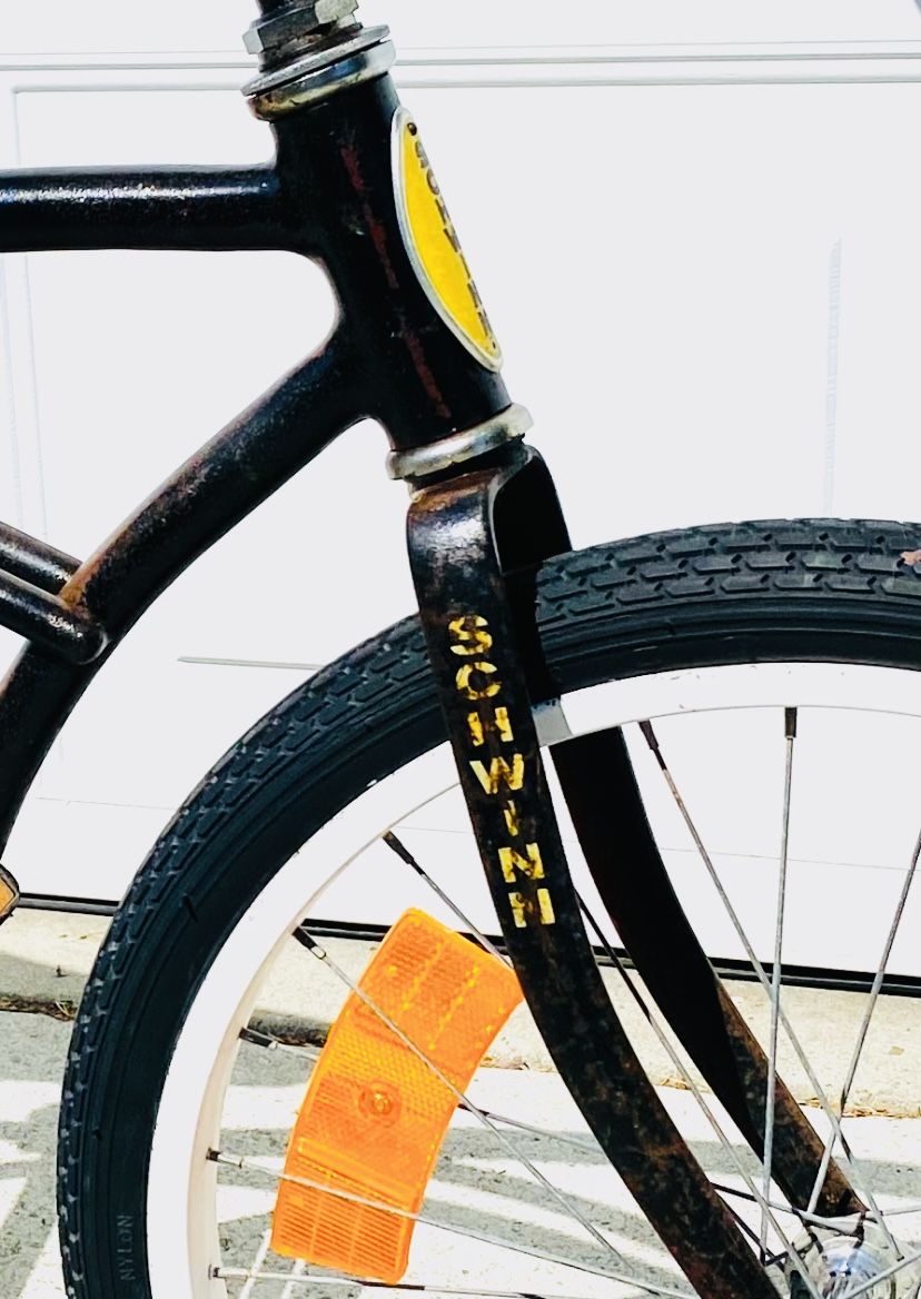 20 Inch Schwinn Bike RAT. ROD
