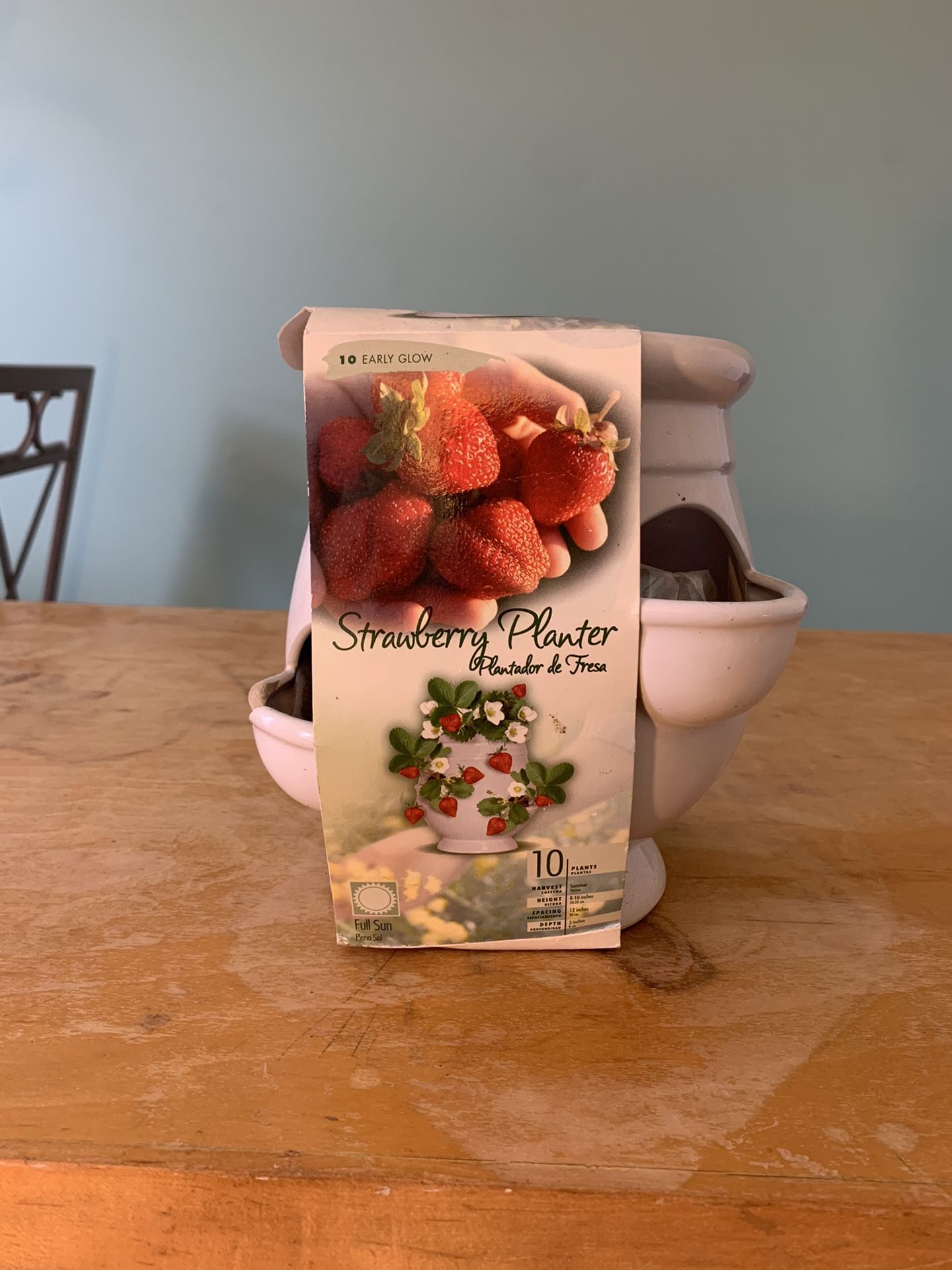 Strawberry Planter