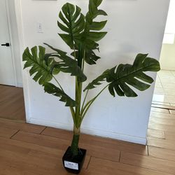 Fake plant 