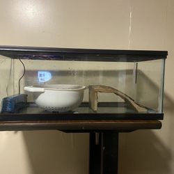 Aquarium Tank W| Cover, Stand, Rocks, Filter, Basking Area