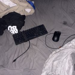 Razer Viper Mini Mouse & HyperX keyboard