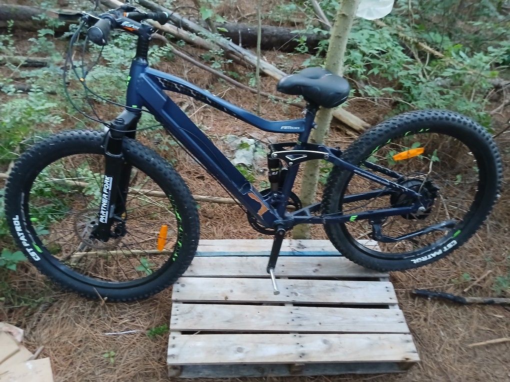 Eahora electric bike AM100