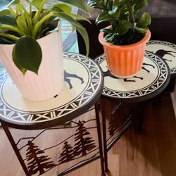 Plant Table Perfect Condition