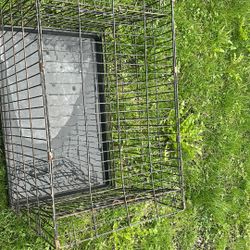 Dog Cage 