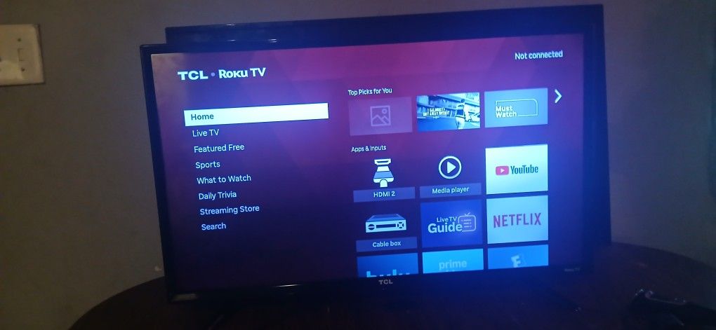 32 Inch Roku Tv