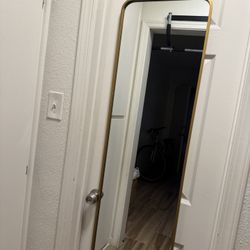 Hanging Door Mirror 