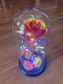 Rose Light Decoration