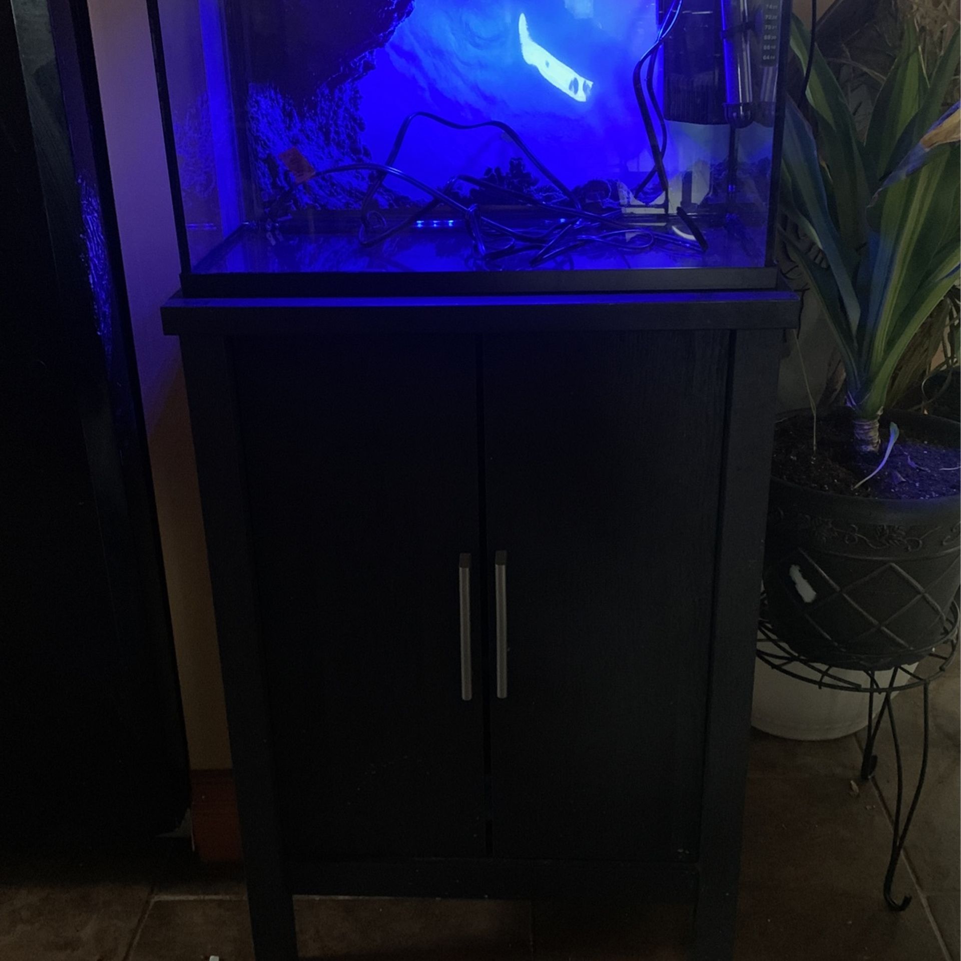 10 Gallon Fish Tank Wit Stand