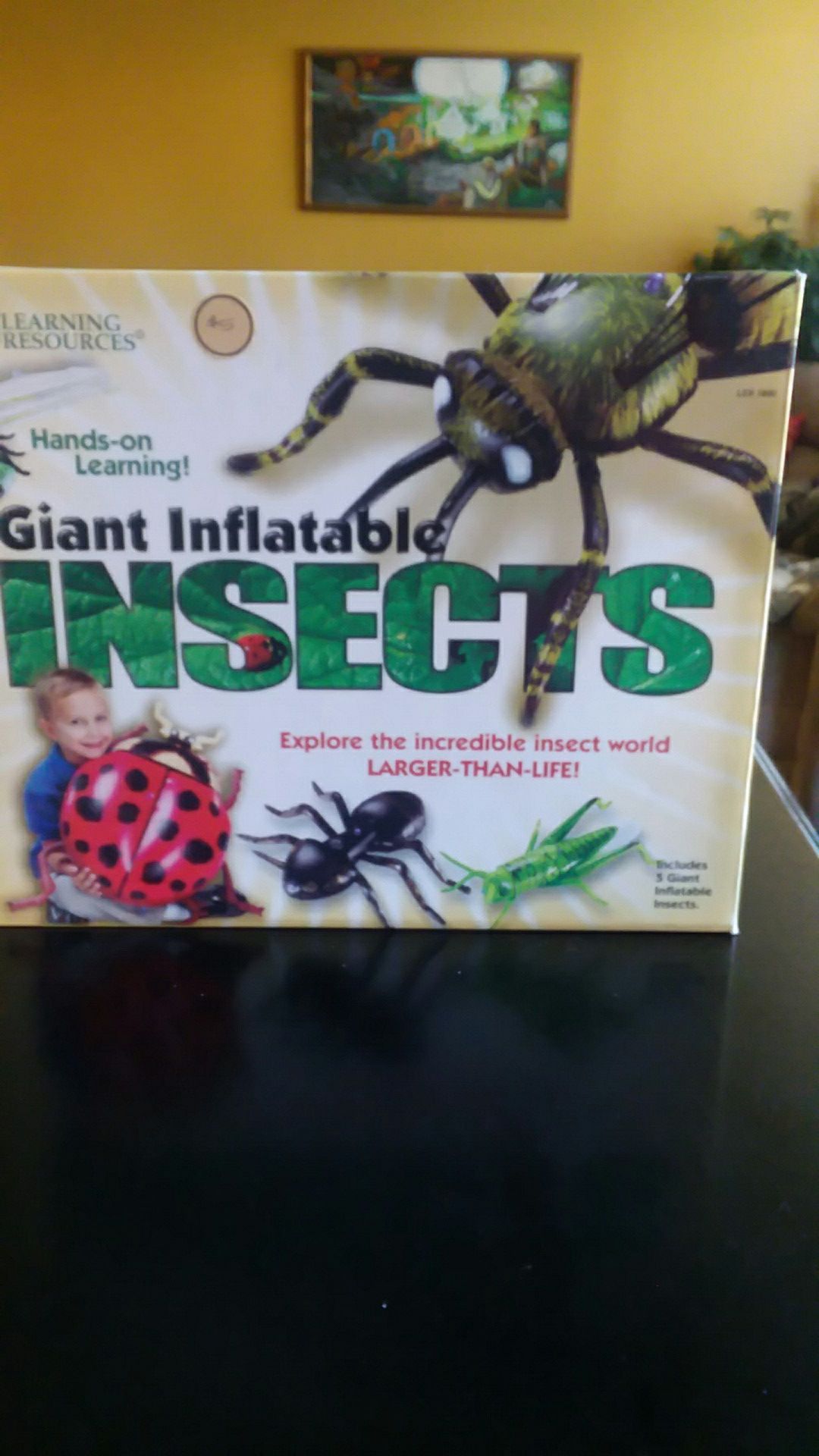 Giant inflatable insects