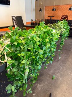 Artificial plants