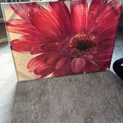 Pink Gerbera Daisy On Canvas