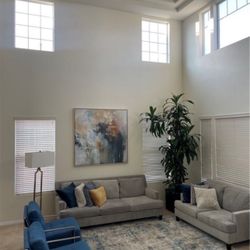 Living Spaces couches 