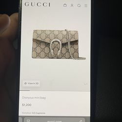 Gucci Purse Mini