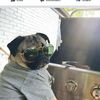 Doug