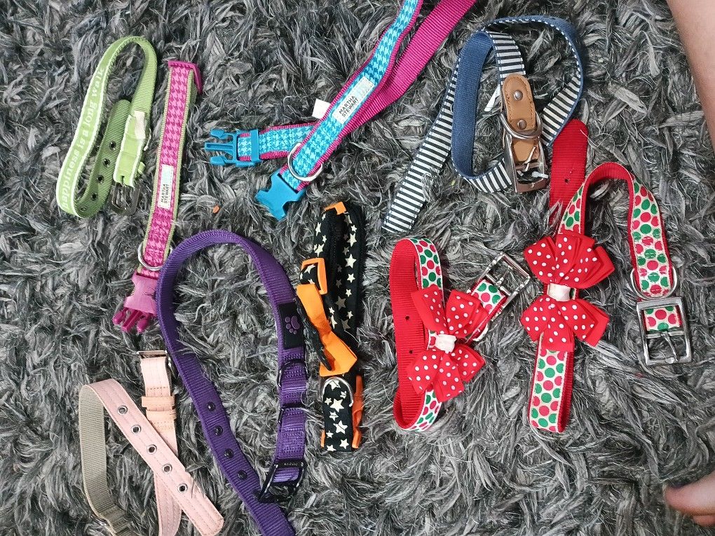 Dog Collar 9 Pack Bundle Lot