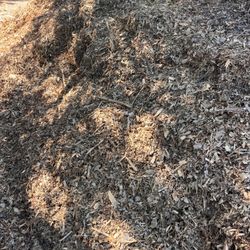 Free Mulch