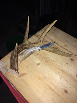Deer horn knife home made
