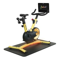 Freebeat Spin Bike - Barely Used