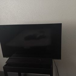 45 Inch Vizio Tv With Remote 