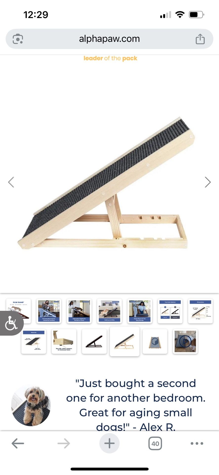 Alpha Paw 40” Long Dog Ramp-Slip Resistant Carpet