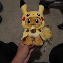 Pokémon Plushies 