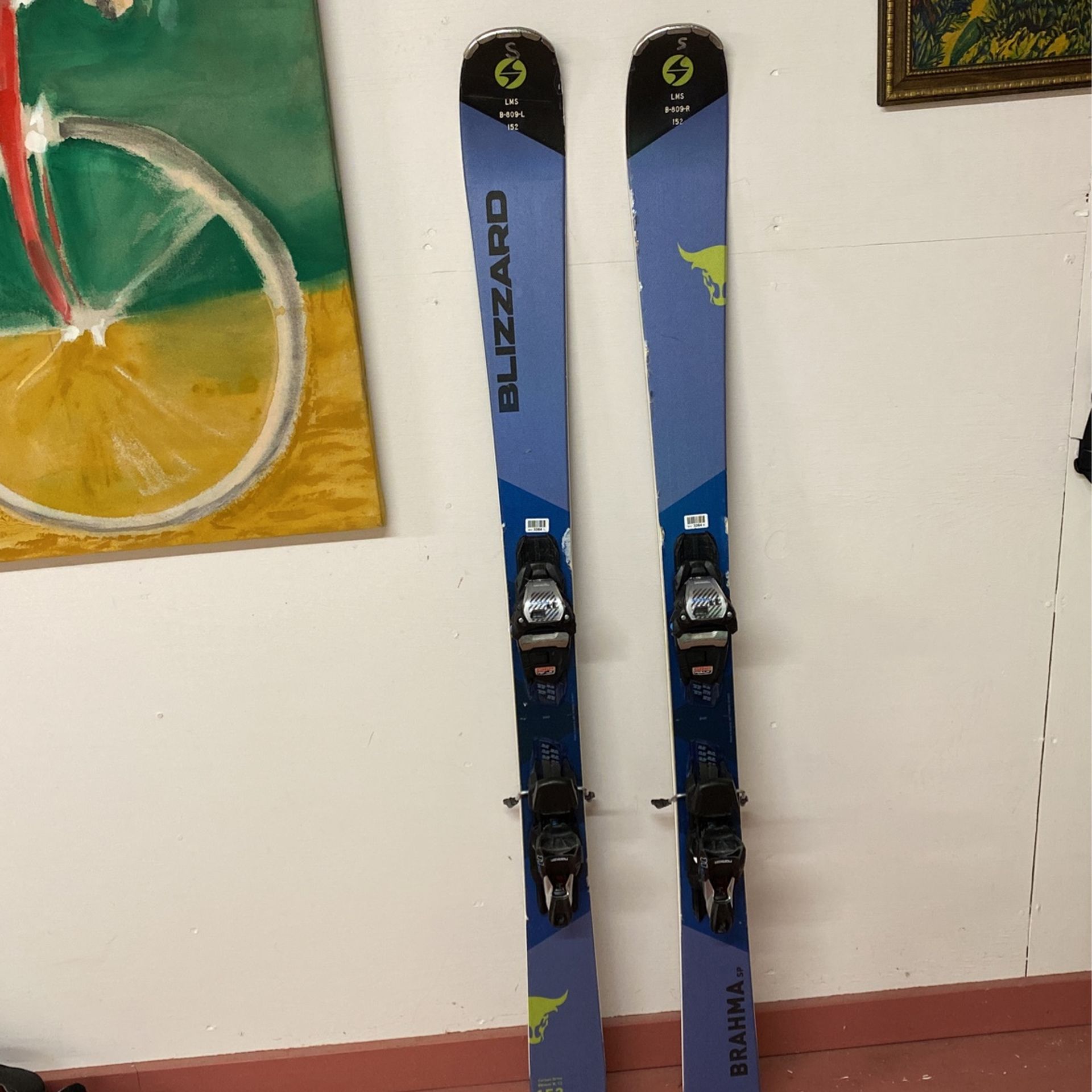 Blizzard Skis