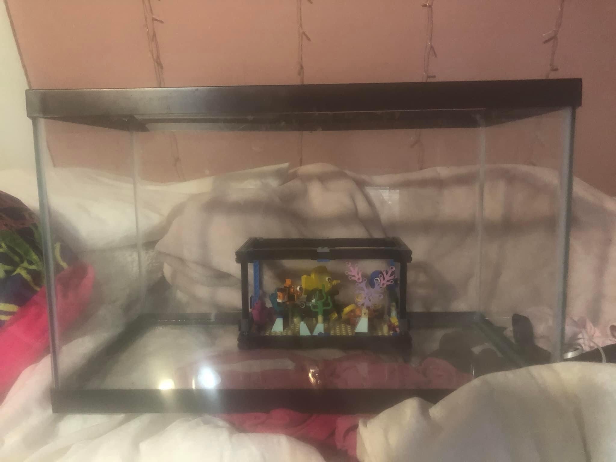 Fish Tank