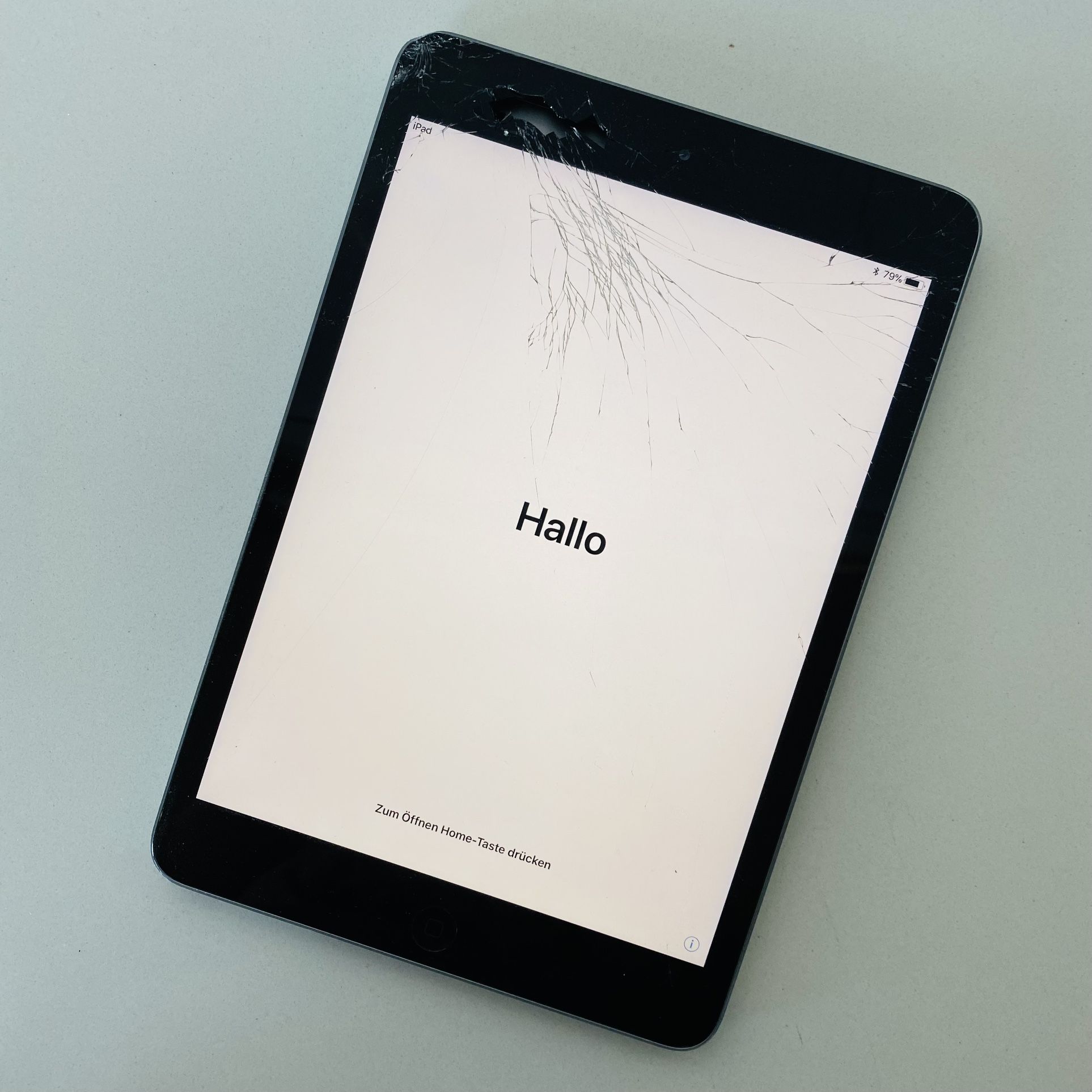 iPad Mini 2 Silver With Case