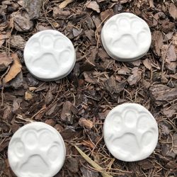 Small Cement Paw Prints 